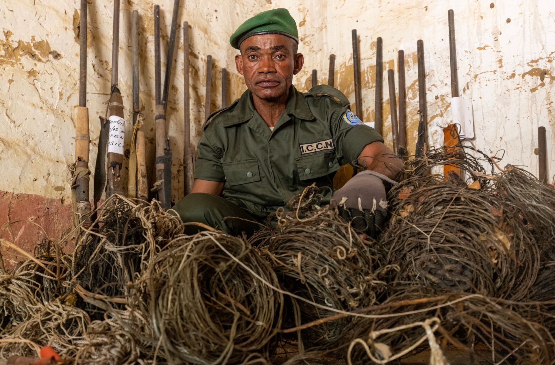 Bild von Victor Amman für Bonobo Aliove