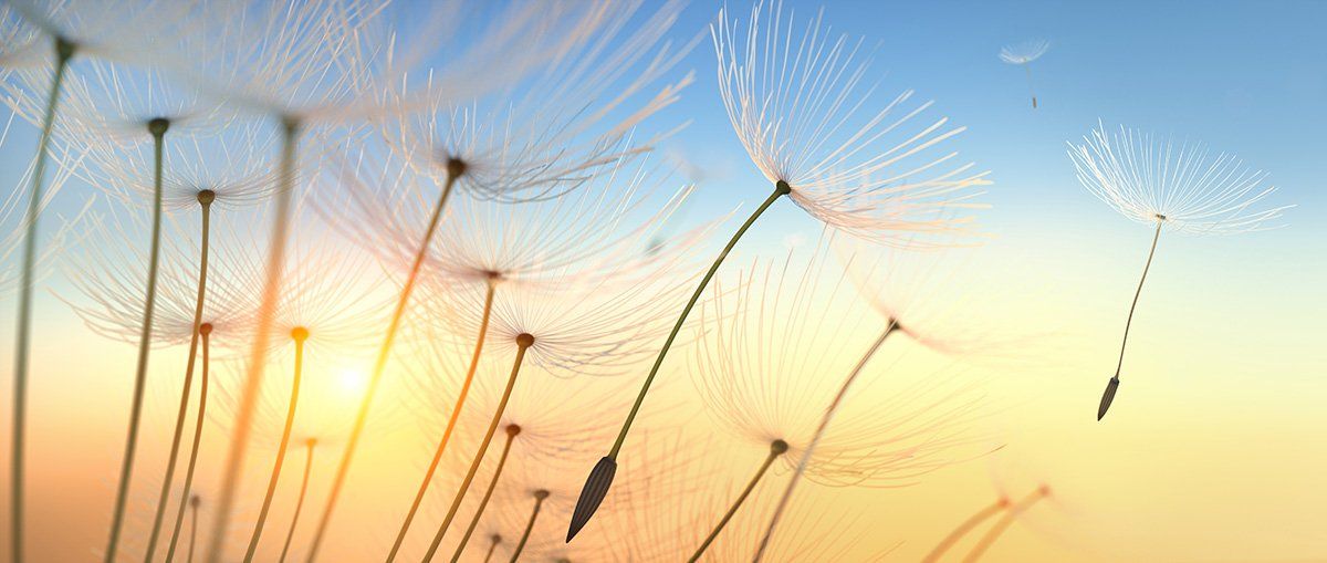 Jeannine Lenker Privates Coaching Leipzig