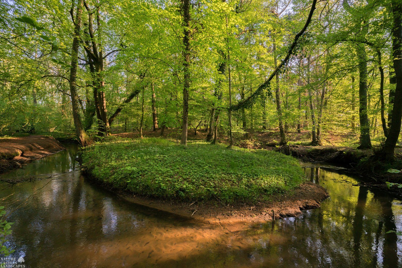 springtime at the bend