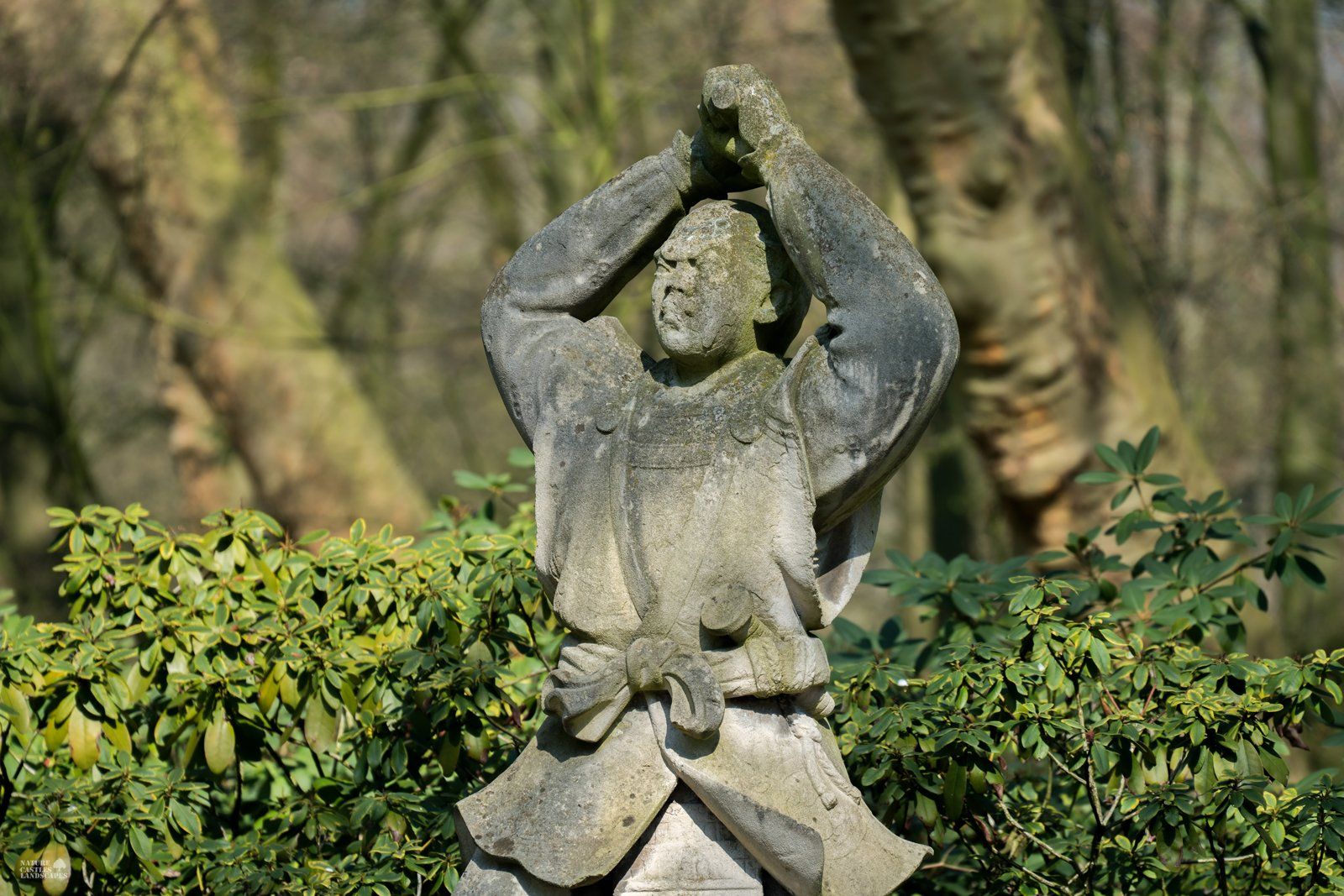 Sculpture at the chinese fountain picture stonemason