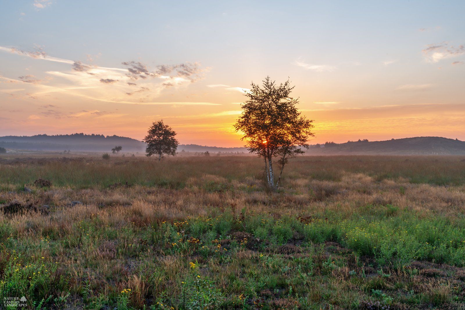 morning Mood at the abandoned military training ground