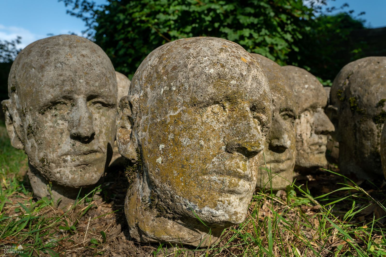 Photo of an art installation