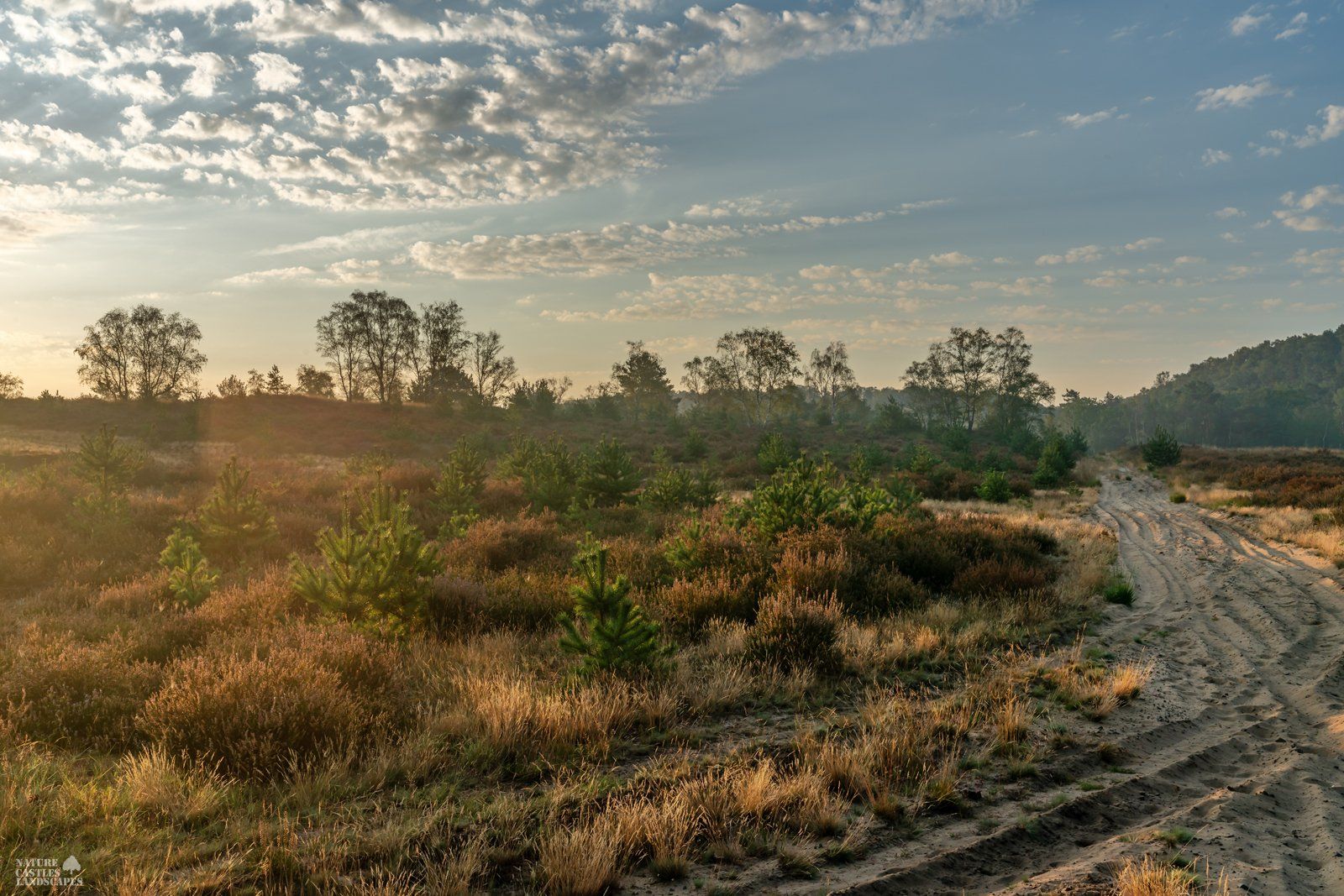 sandy path at sunrise