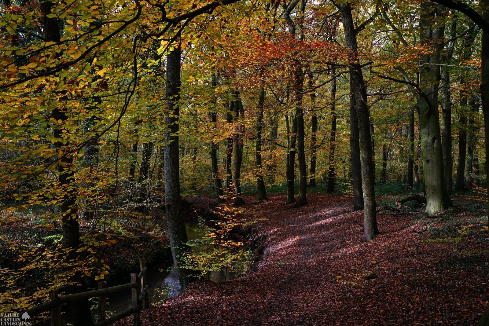 forest die burg at the city of marl