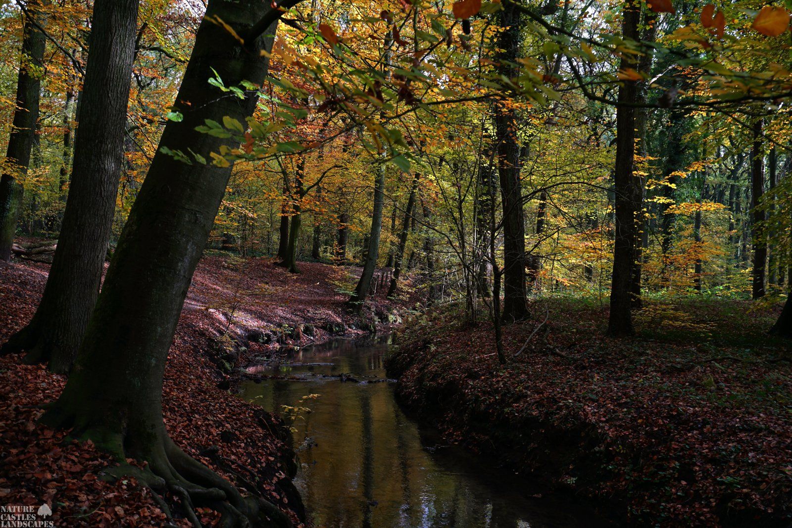 nature reserve die burg at the city of marl creek at autumn