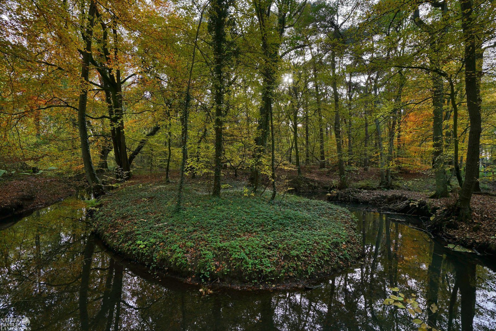forest die burg at the city of marl little creek