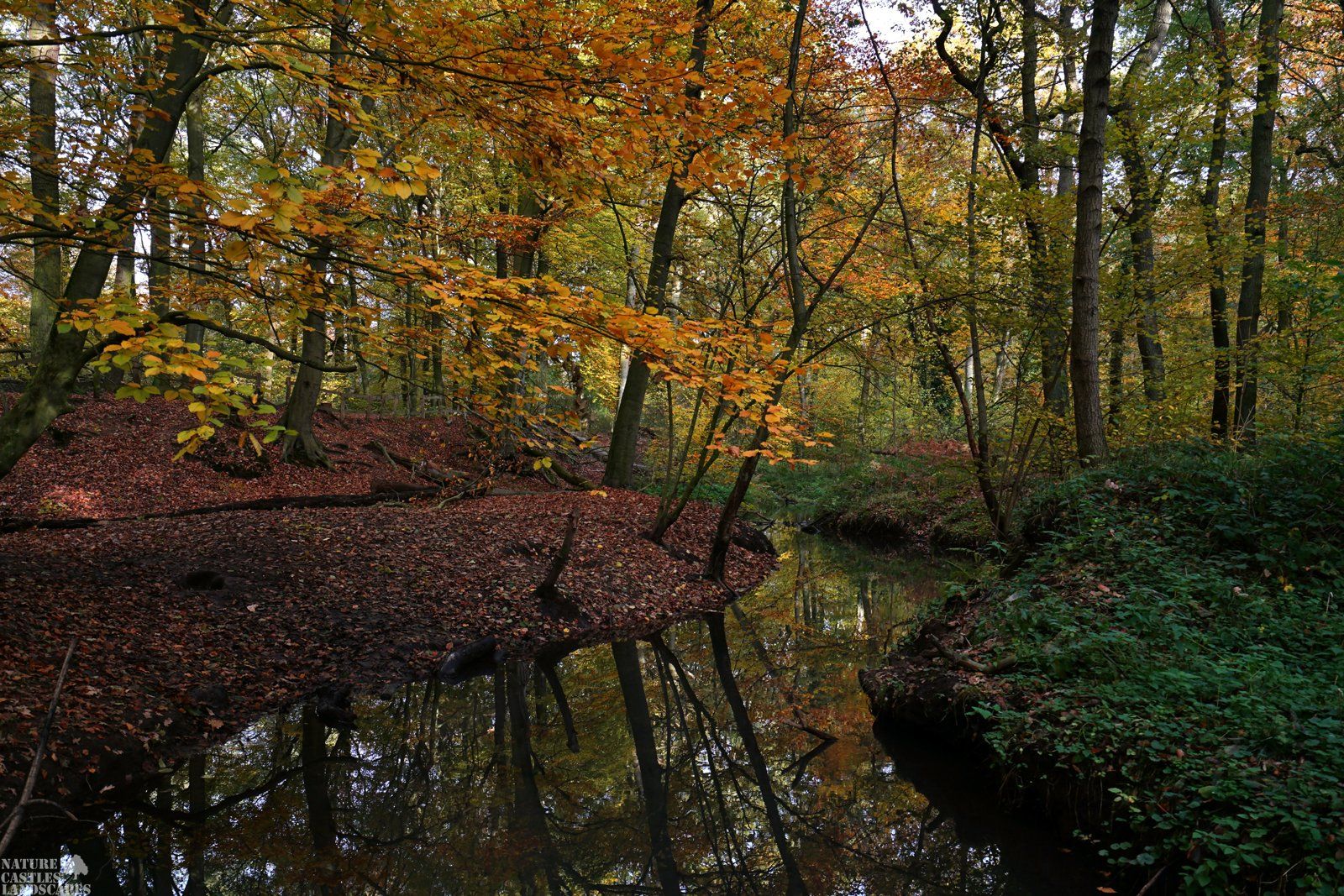 forest die burg at the city of marl creek in the forest