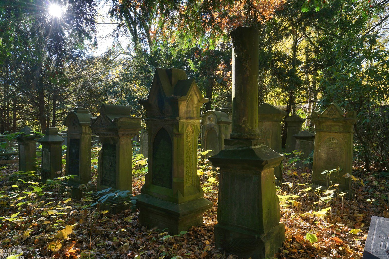 gravestones at a old jewish cementary