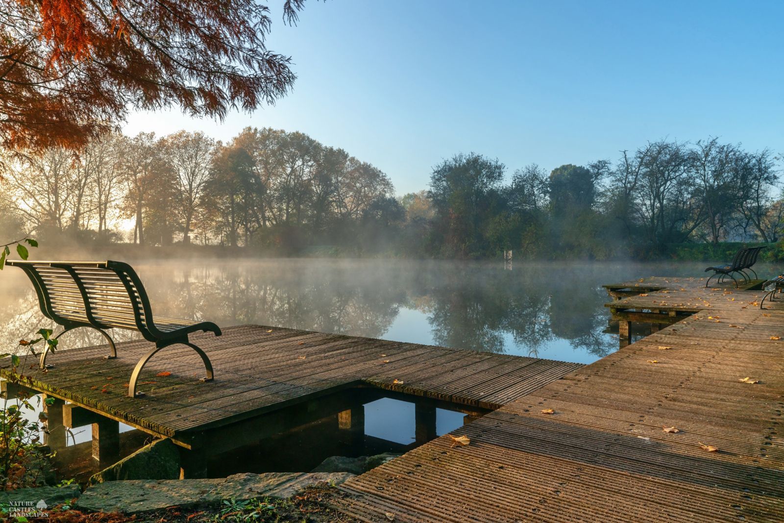 picture of the fishpond in herten early in the morning