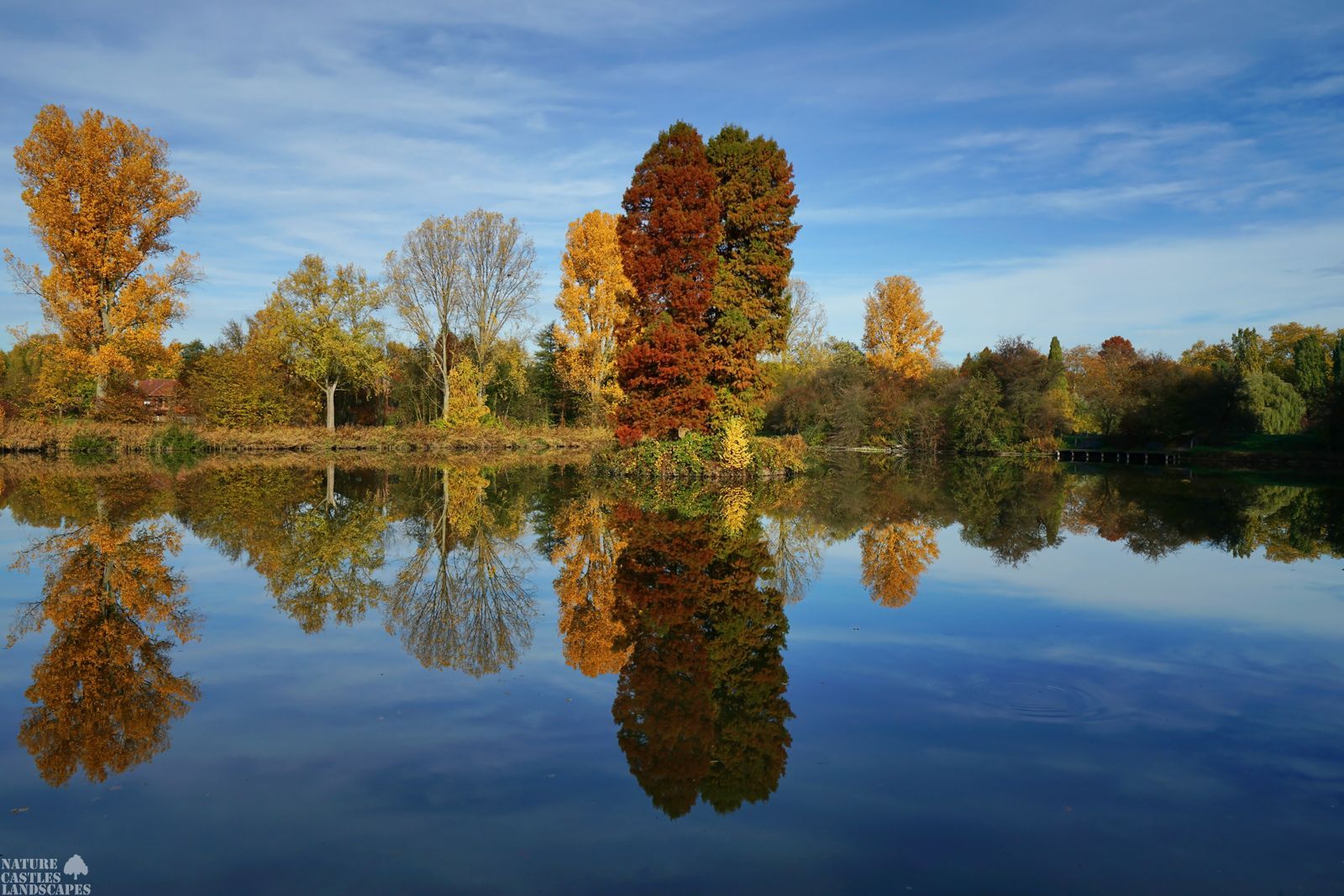 picture many trees near in a fishpond in herten