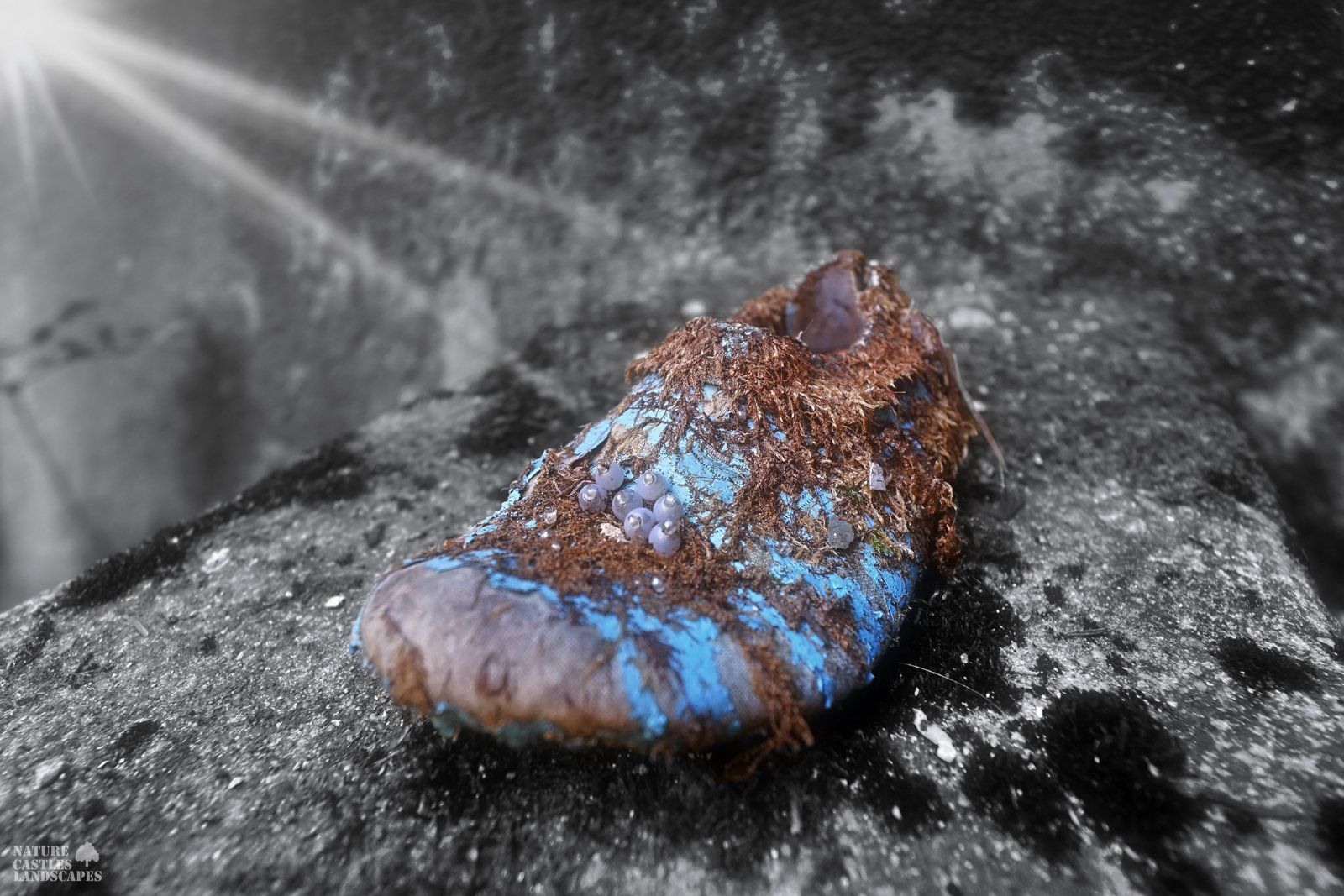 lost place color key shoe