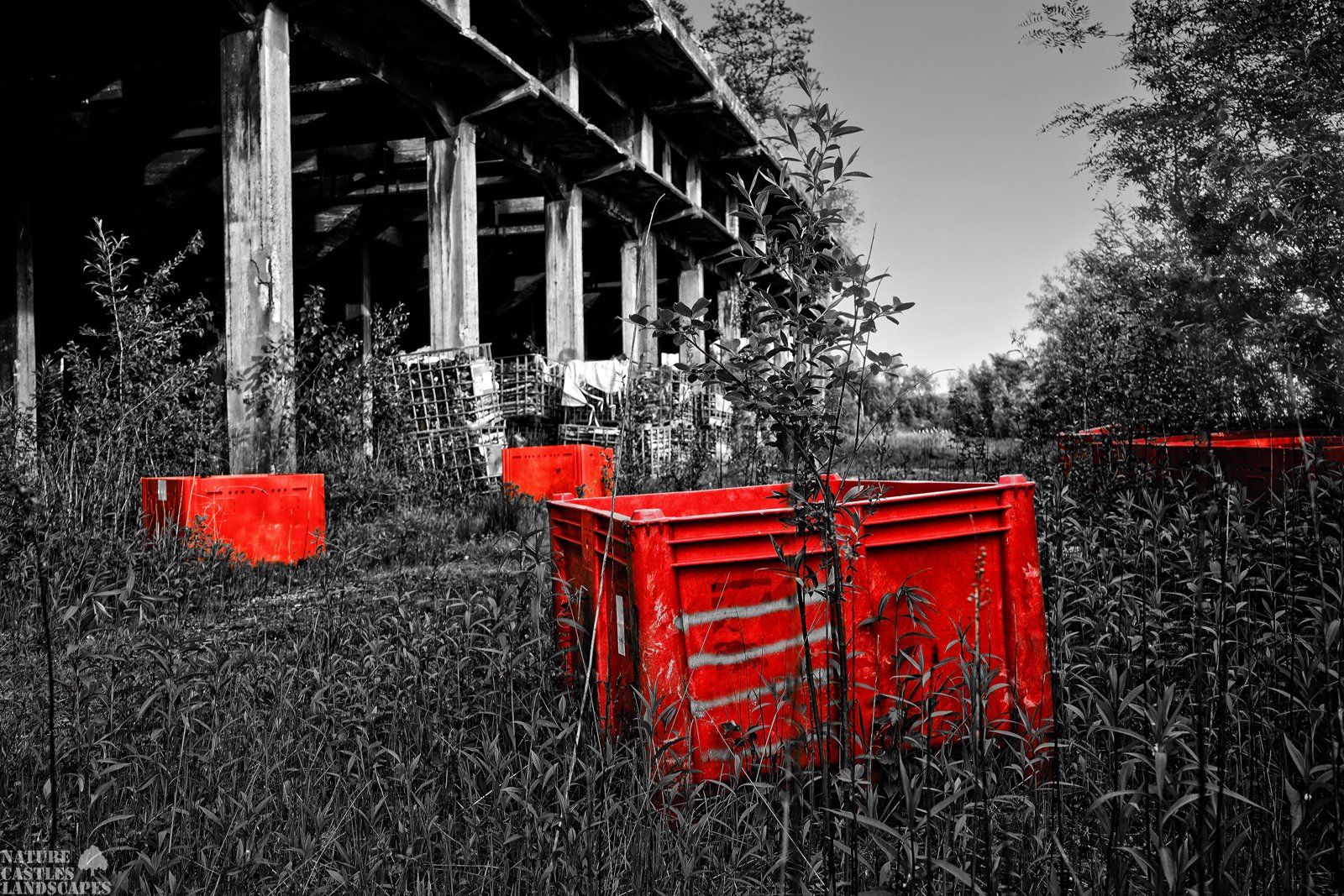 lost place color key paintball