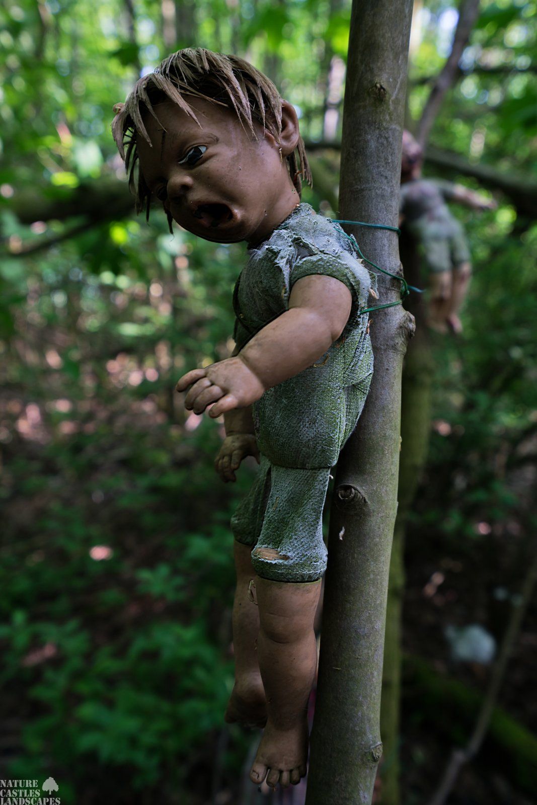 Picture gallery creepy dolls screaming Sam