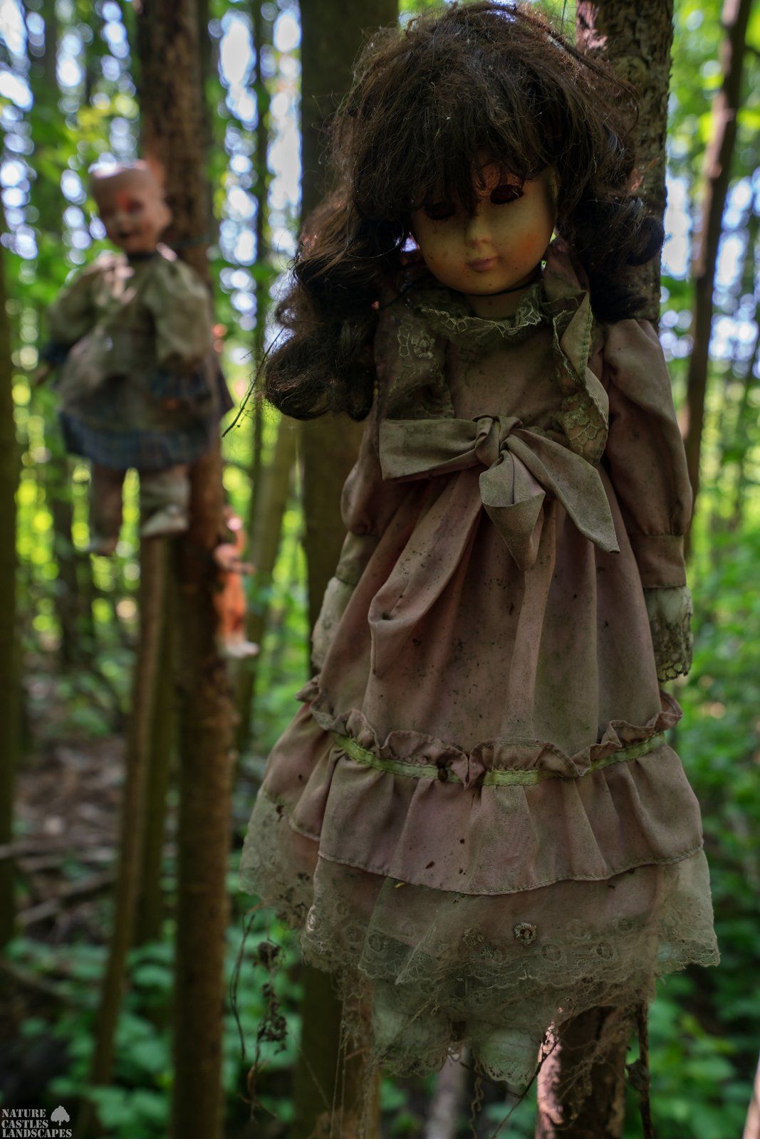 Picture gallery creepy dolls beautiful Betty