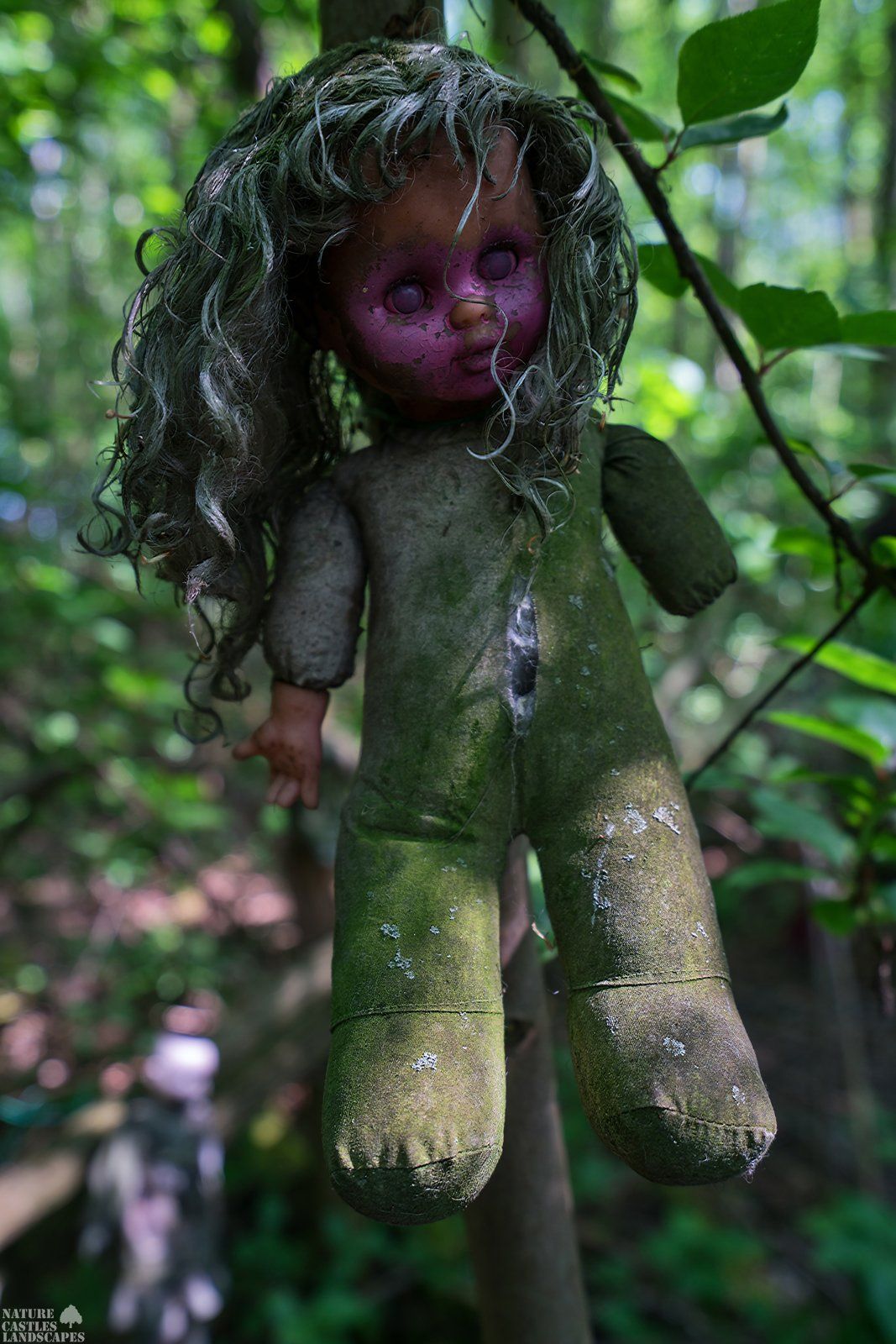 Picture gallery creepy dolls sweet Sandra