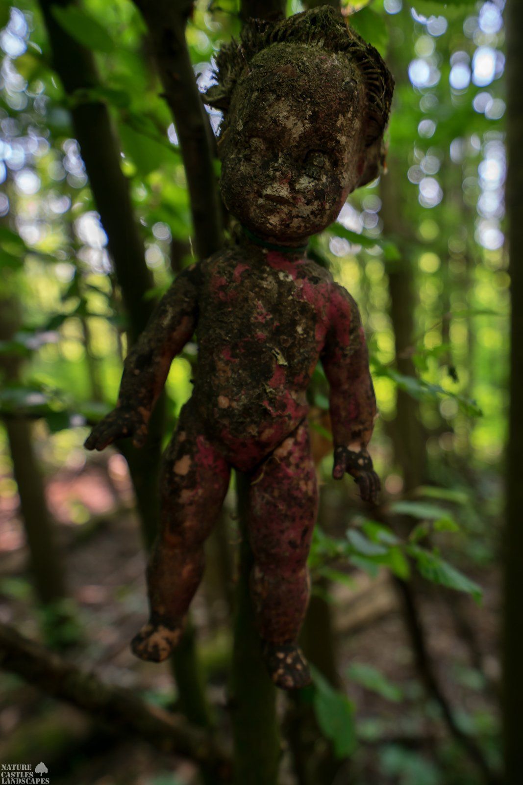 Picture gallery creepy dolls crawling carla