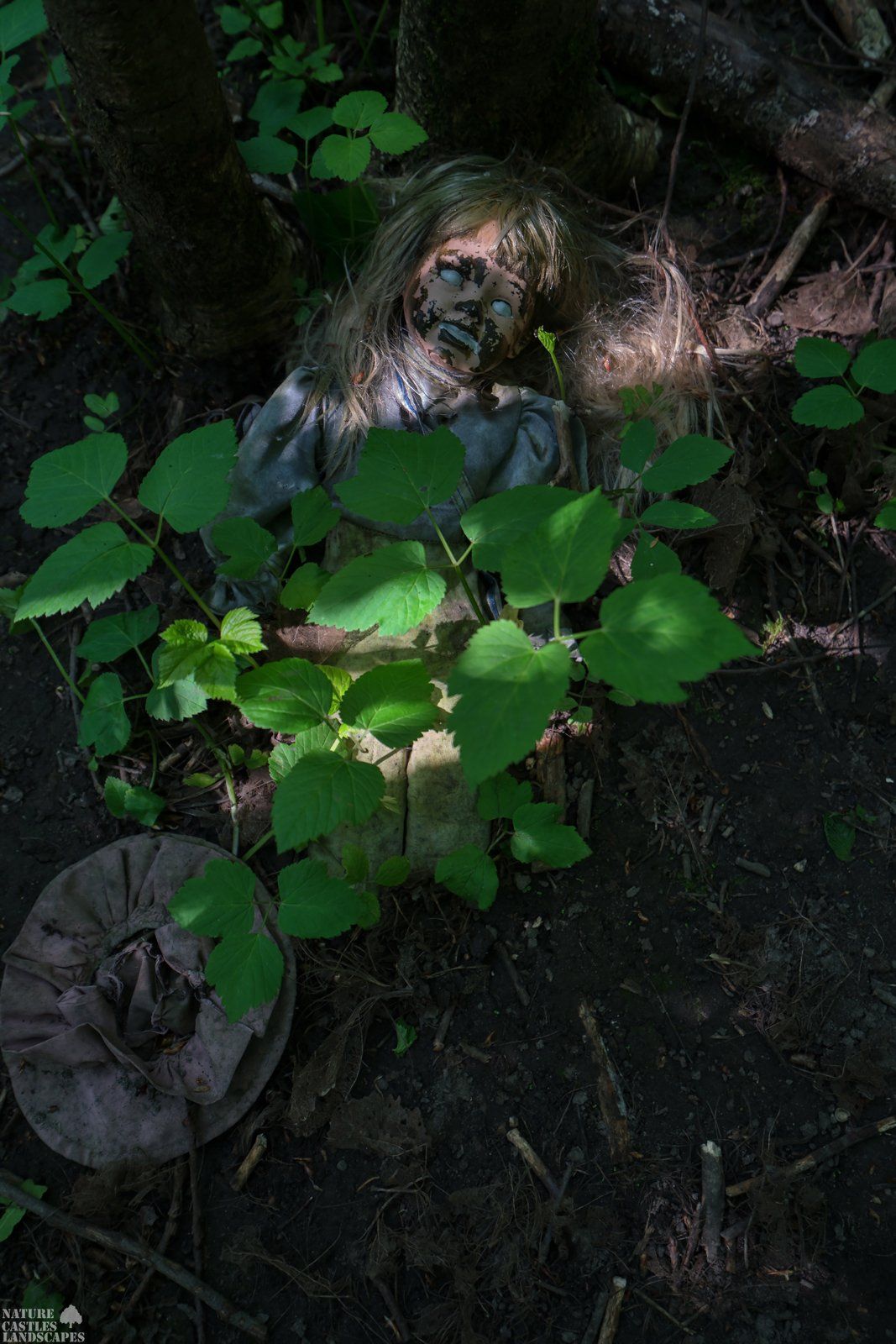 Picture gallery creepy dolls crawling carla