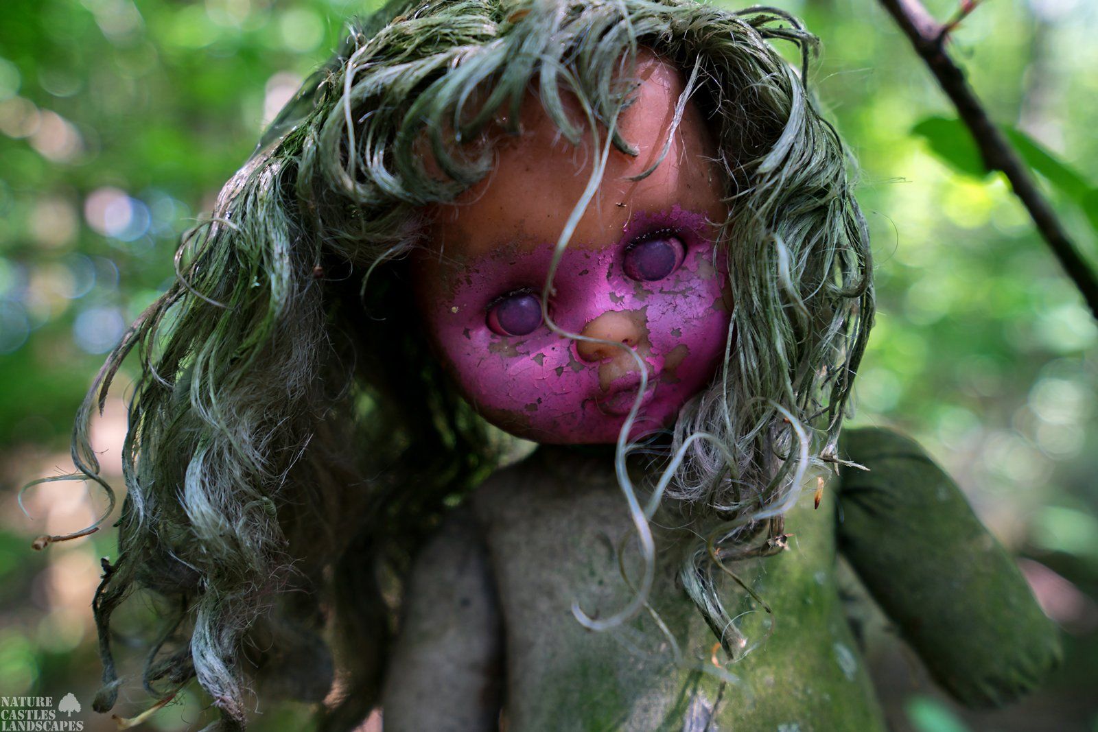 scary doll in the wood