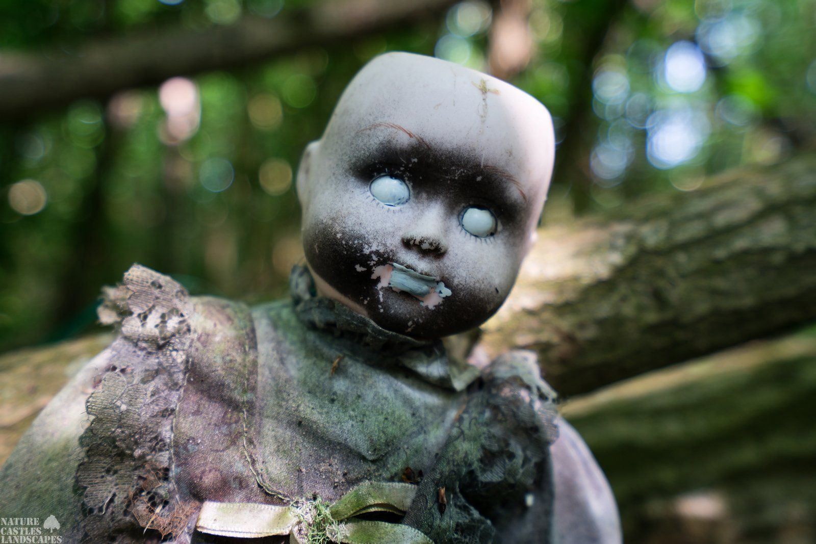 scary dolls in the forest