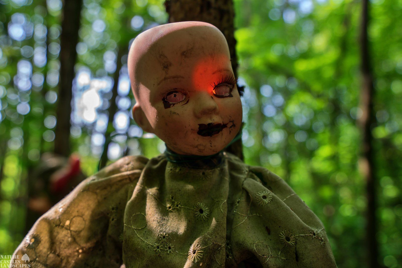 scary horror dolls in the forest