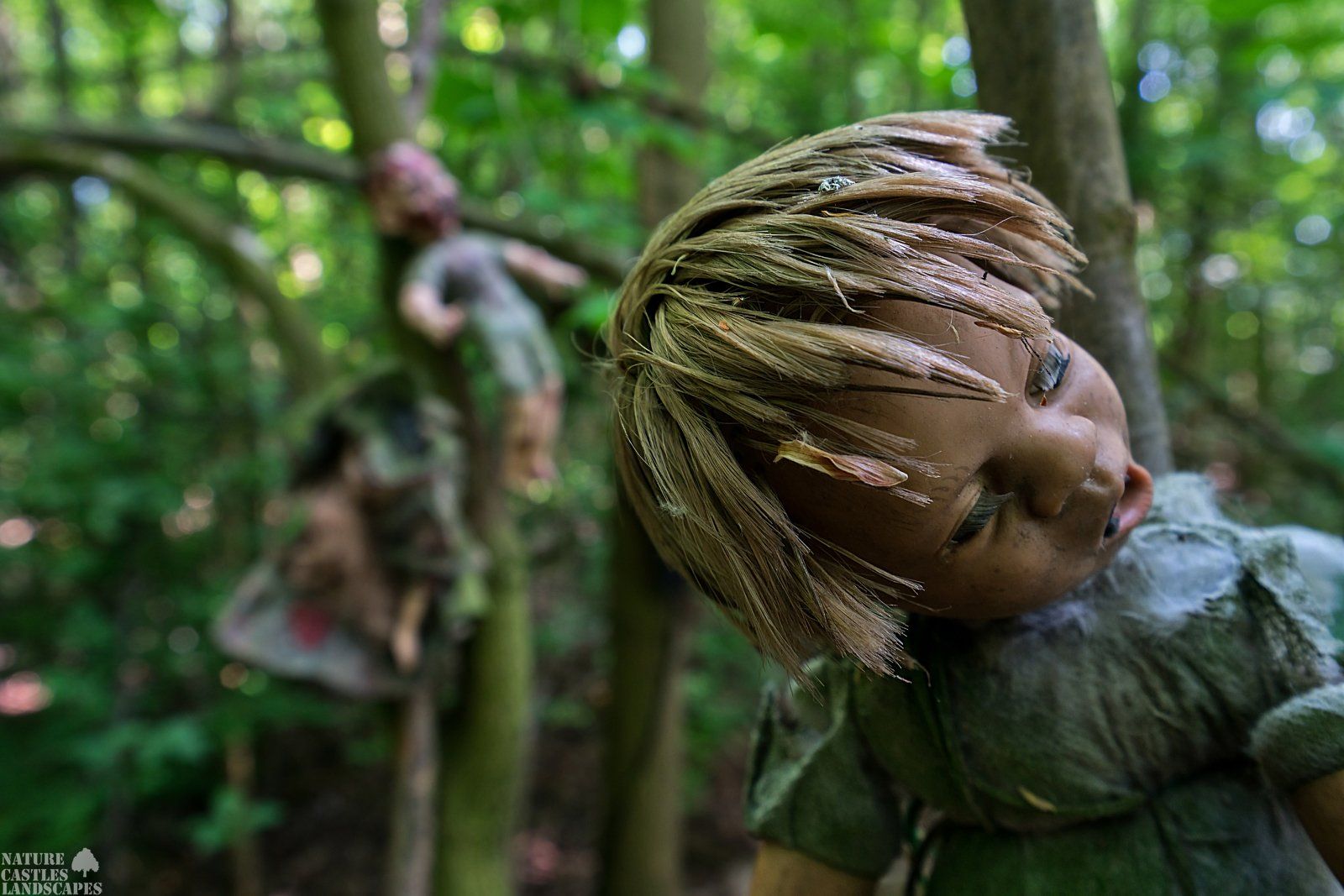 scary horror dolls in the wood