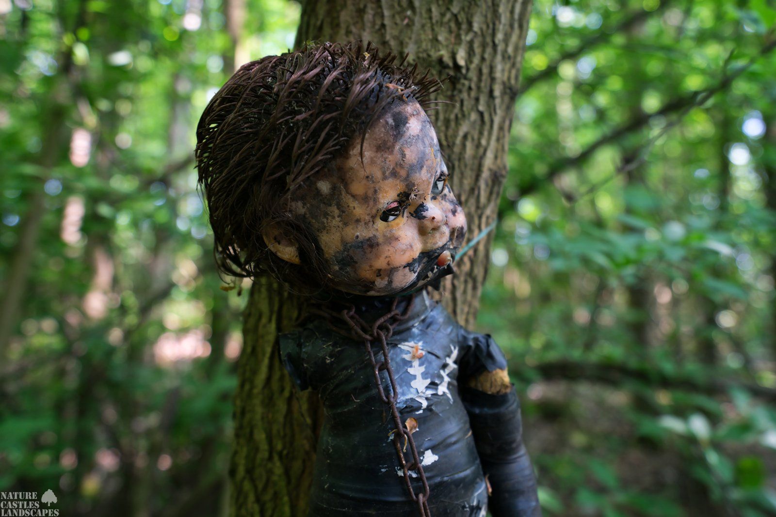 scary horror dolls in the forbidden wood