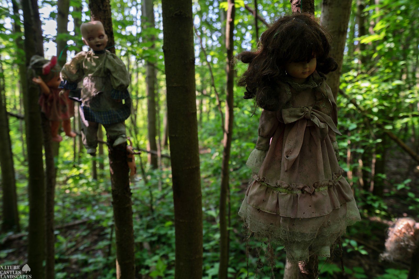 scary horror dolls in the forbidden forest