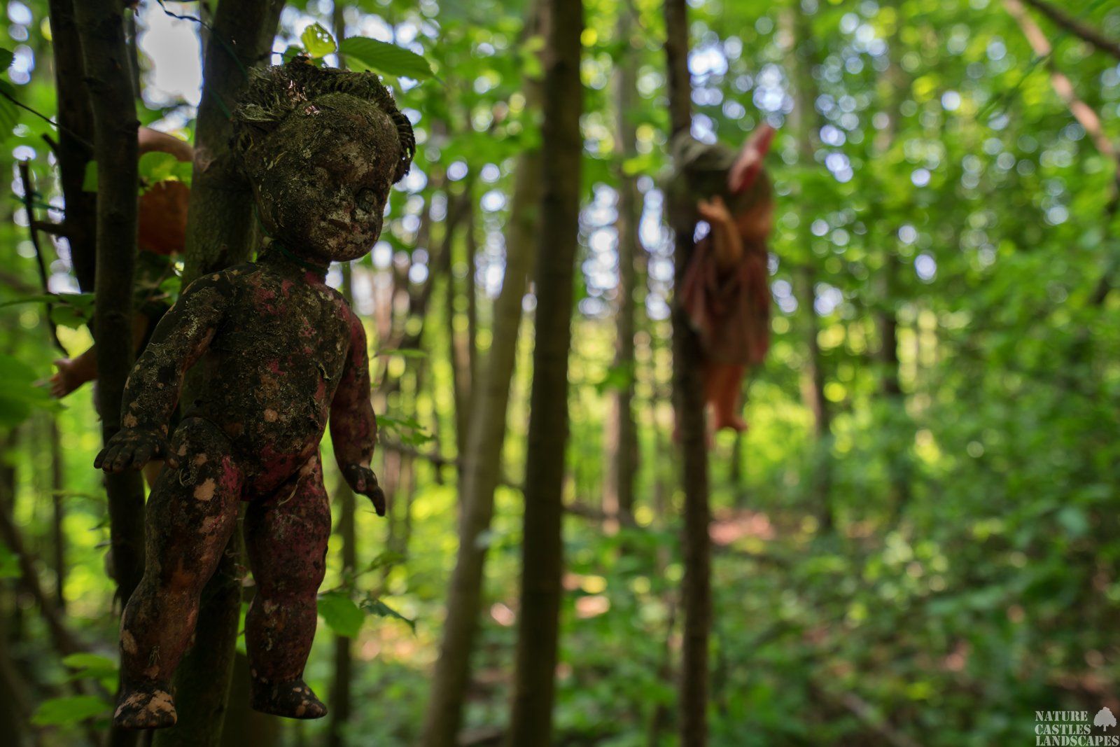 scary dolls in a german forest