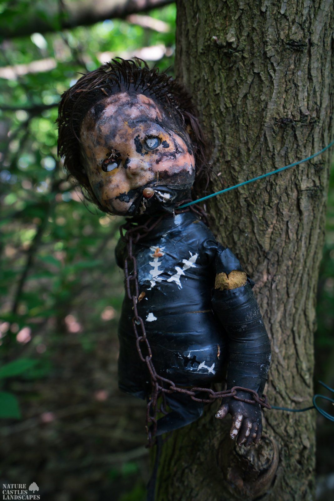 Picture gallery creepy dolls crazy Chucky