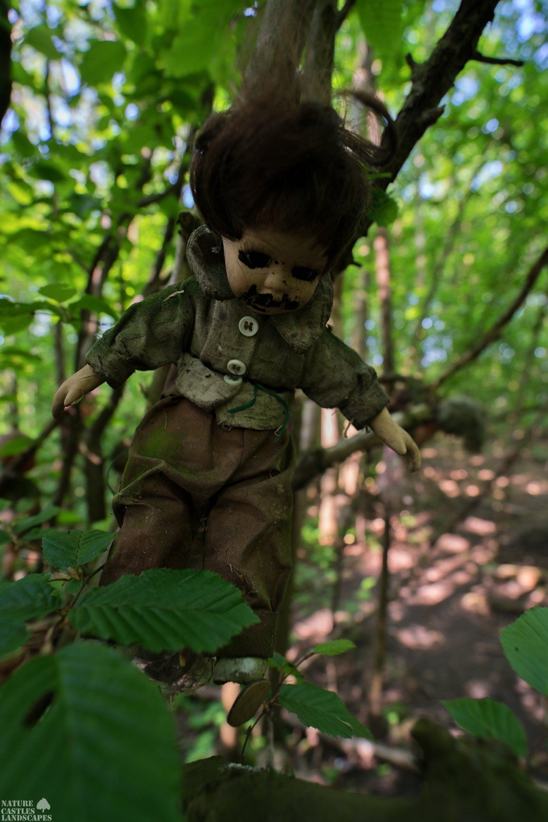 Picture gallery creepy dolls blackeyed Barbara