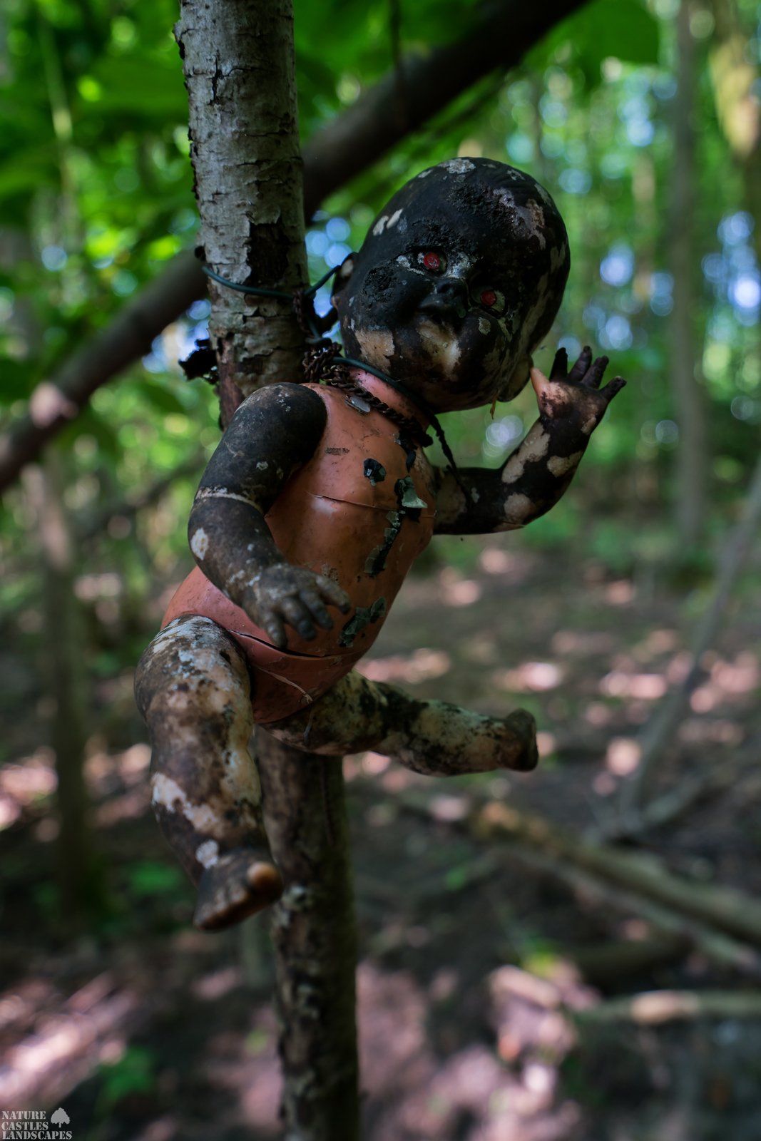 Picture gallery creepy dolls hot Hank