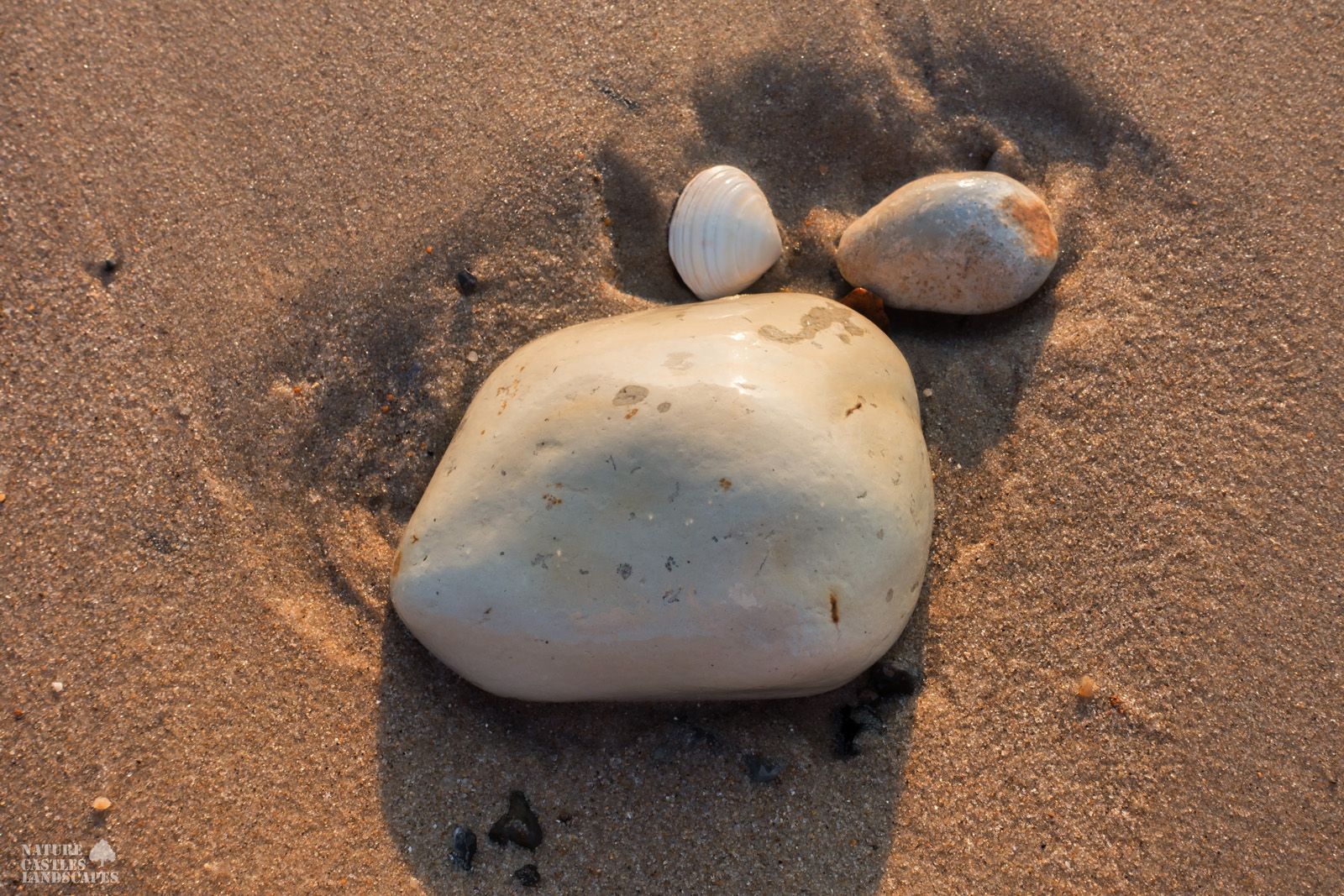 jetsam and flotsam on the Danish North Sea coast rocks and a shell at sundown
