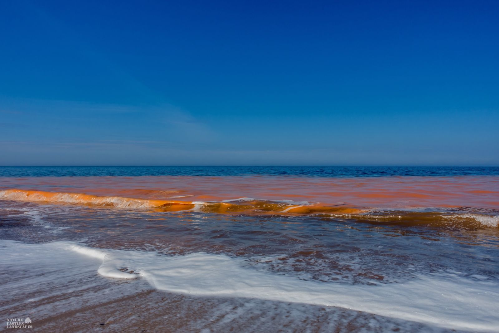 Danish North Sea coast red colored sea water on the beach