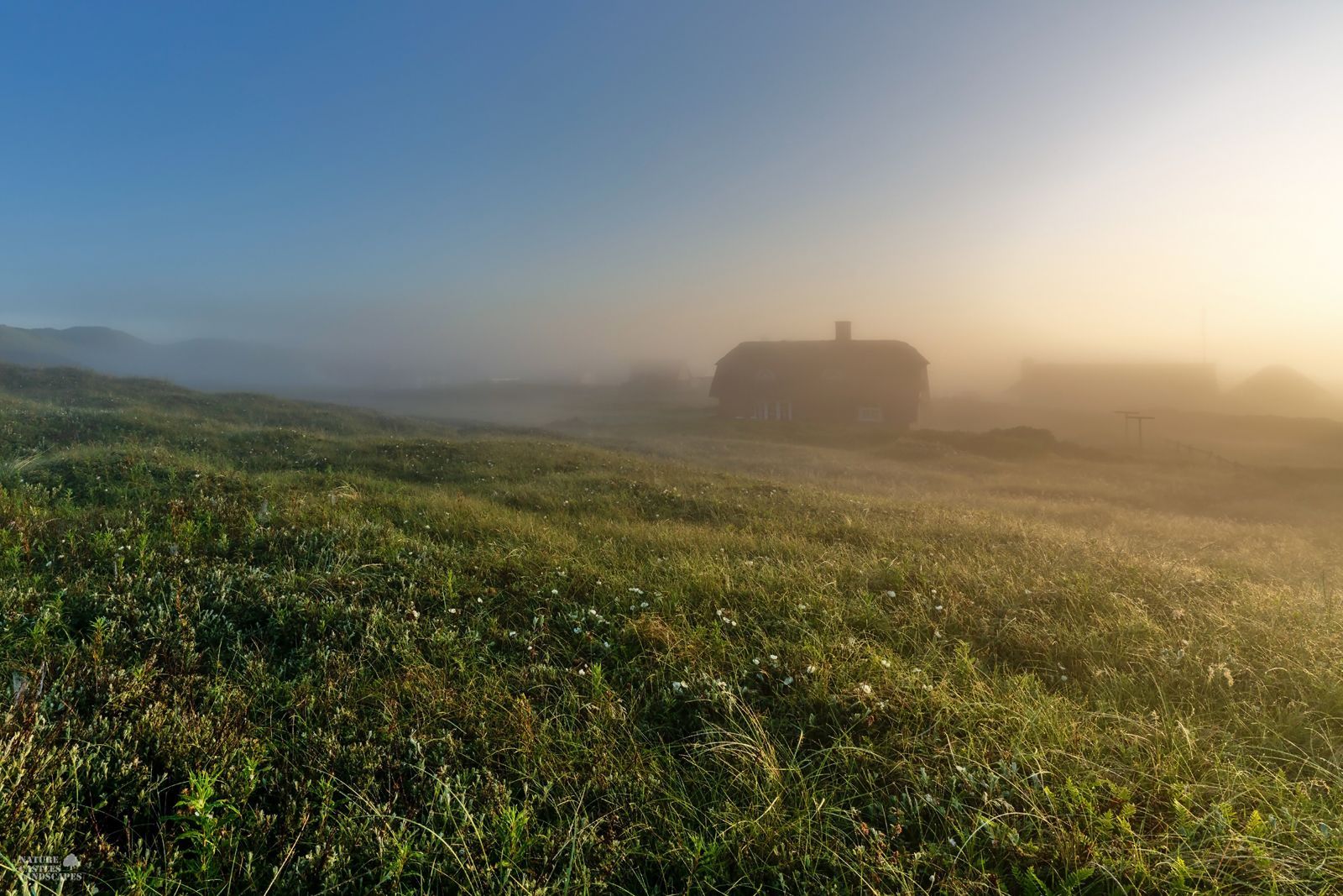holiday home settlement on the Danish North Sea coast in the fog