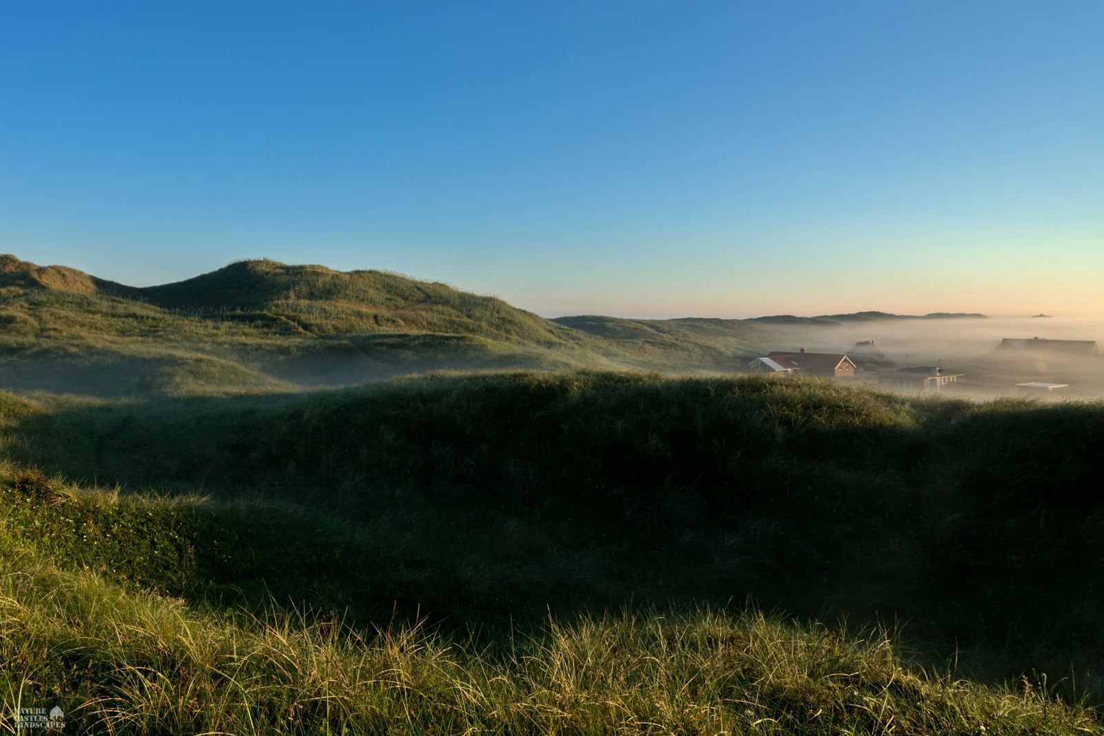 a holiday home settlement on the Danish North Sea coast in the early morning fog