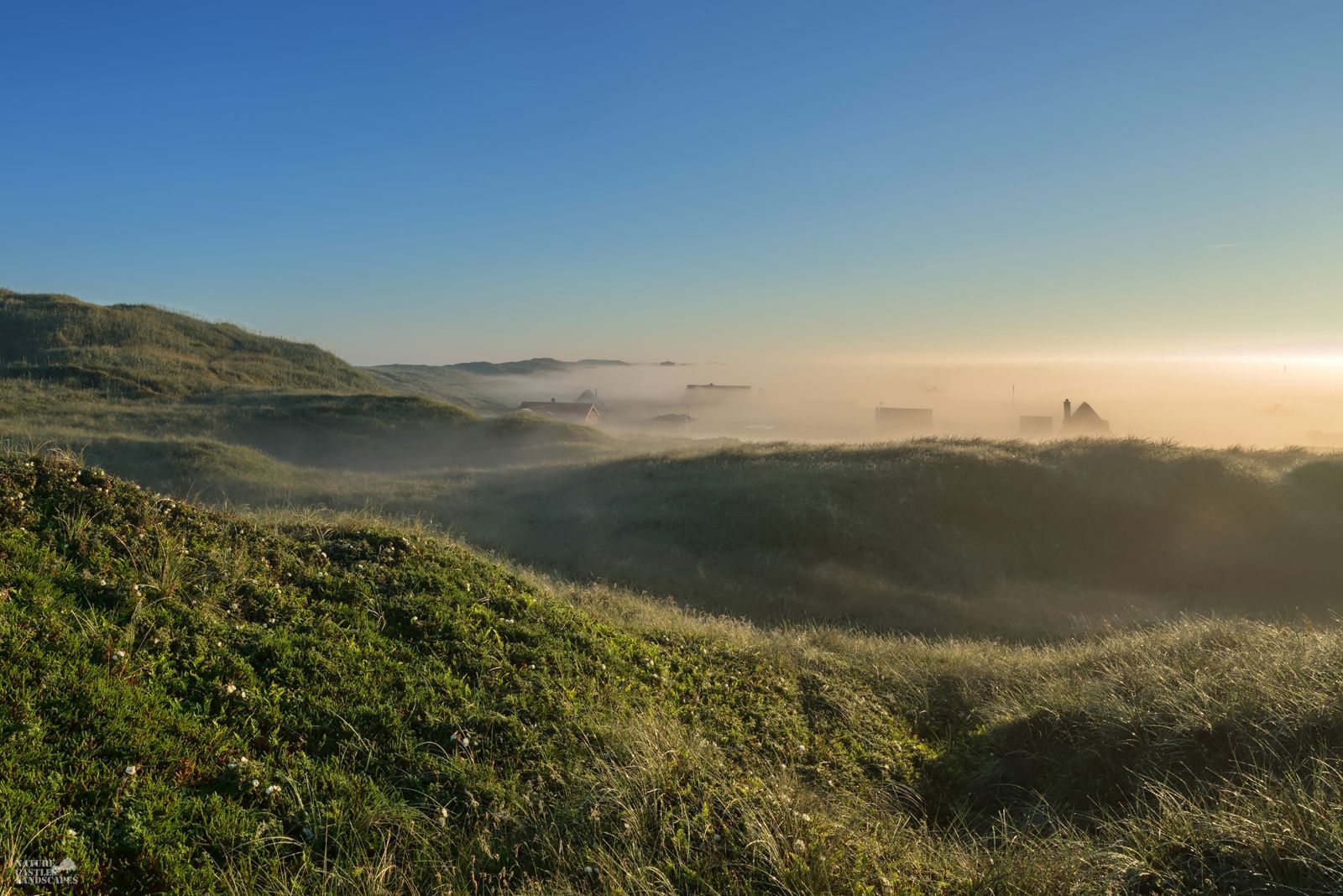 Sunrise over a holiday home settlement on the Danish North Sea coast in the fog in the early morning