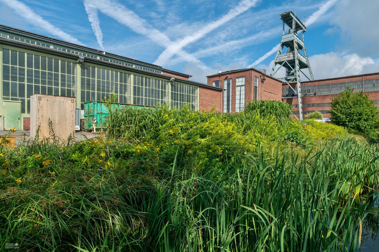 zugewucherter regenwasserkanal in herten