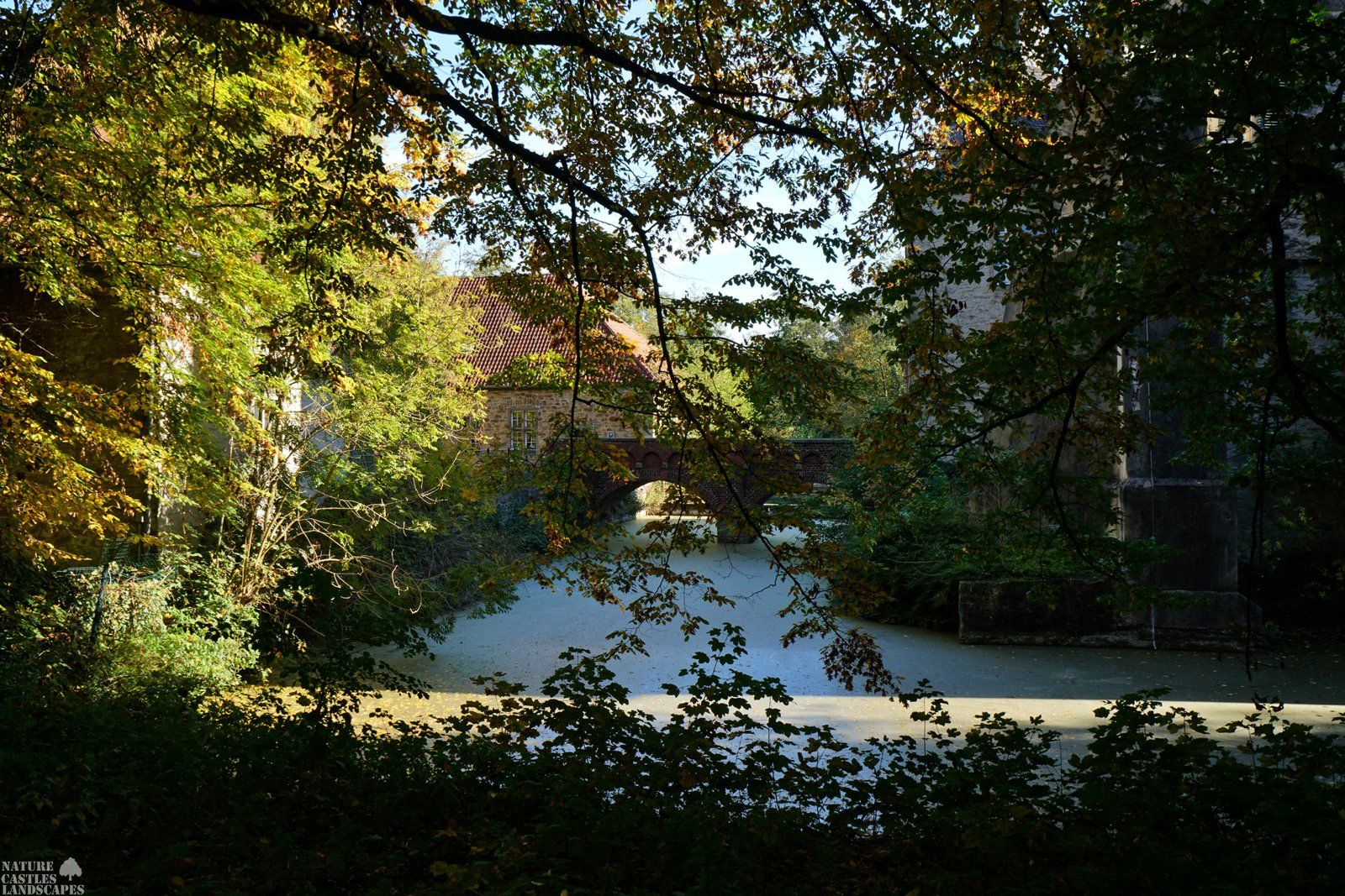 versteckt hinter den Baeumen