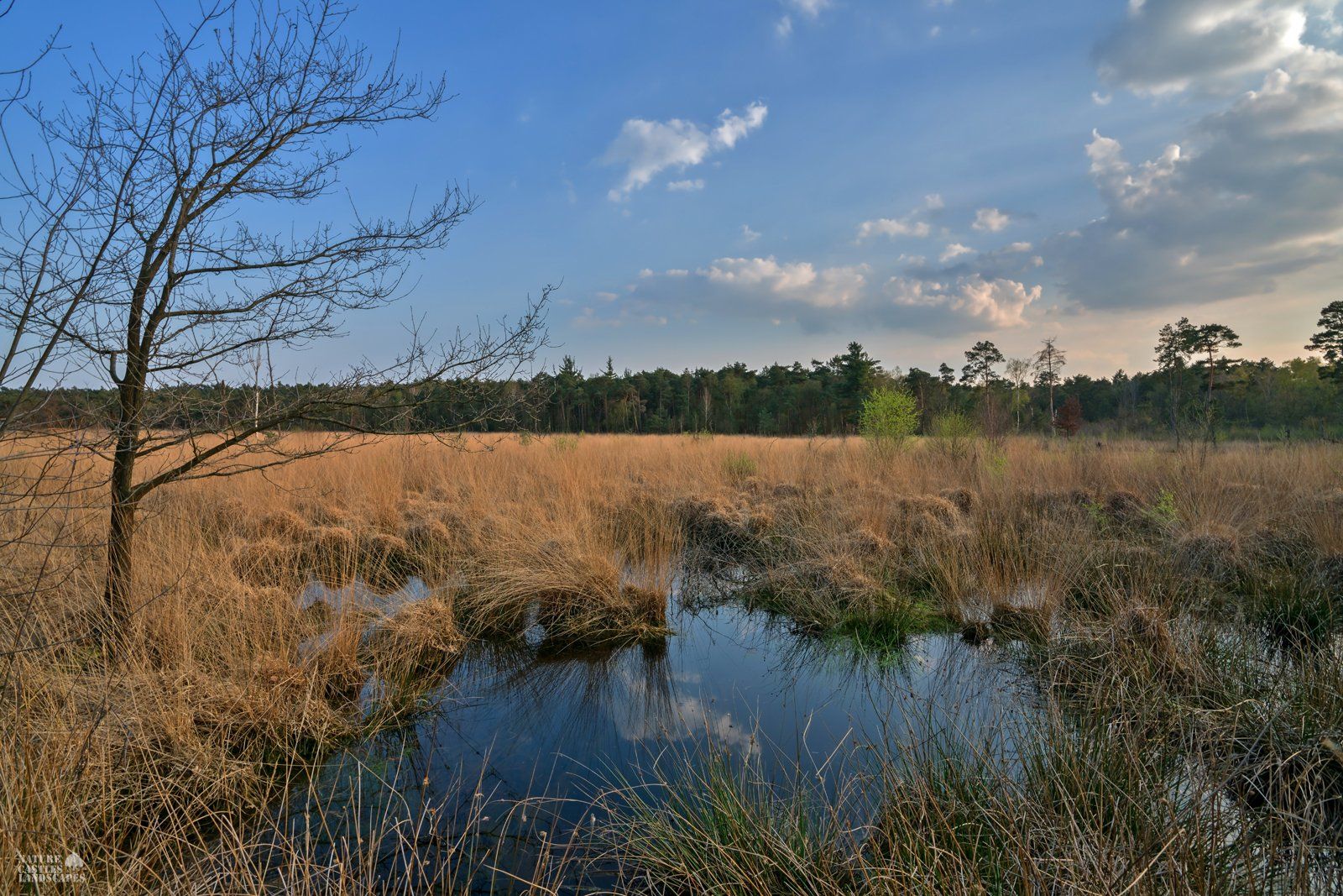 picture of a the evening sky at the moor in germany