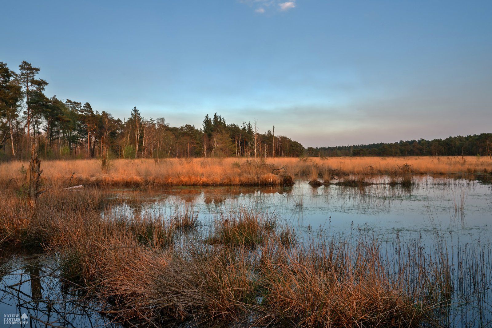 picture of a the evening sky at the highmoor in germany