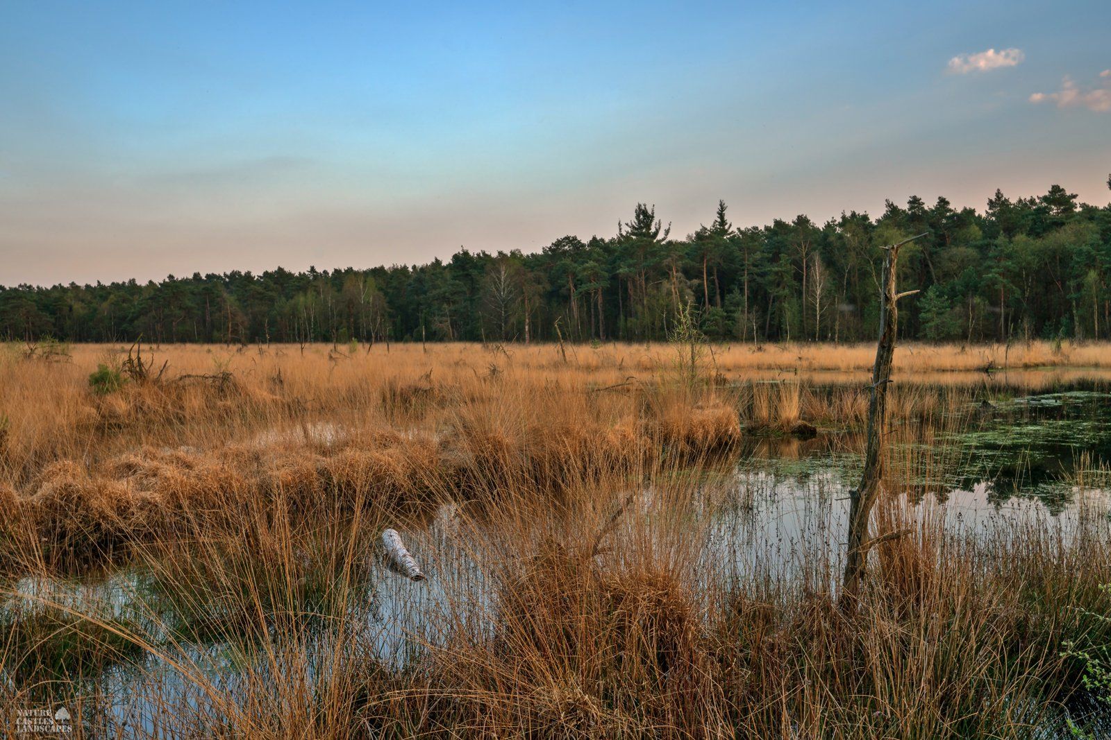 photo of the highmoor in germany