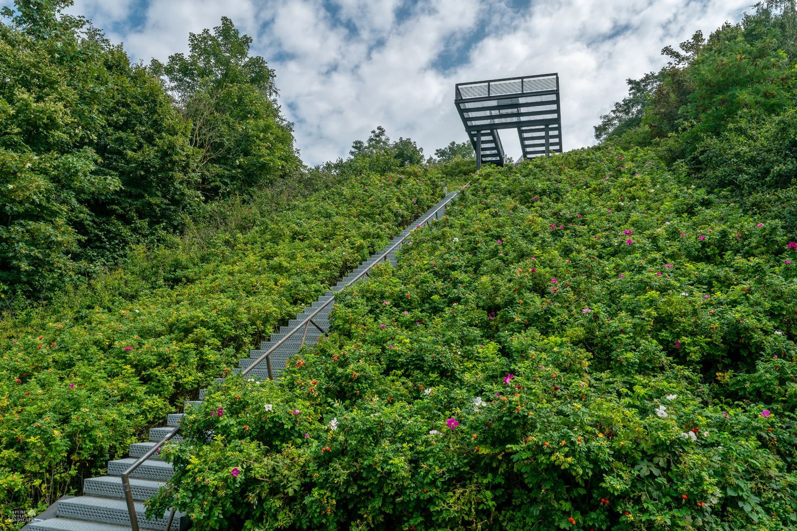 treppe hinauf zur halde hoheward in herten