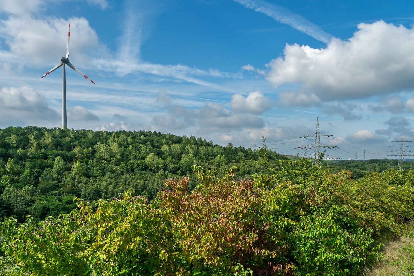 Die Halde Hoppenbruch mit dem Windrad in Herten
