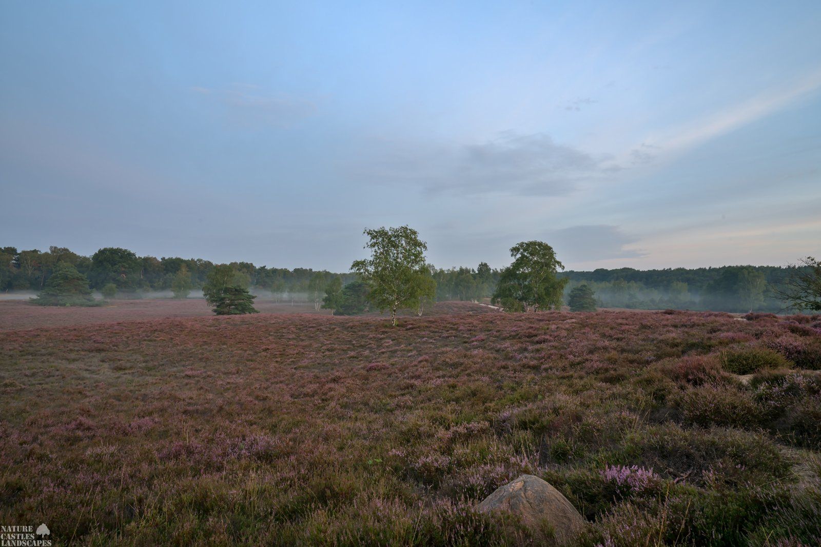 westruper heathland morningmood