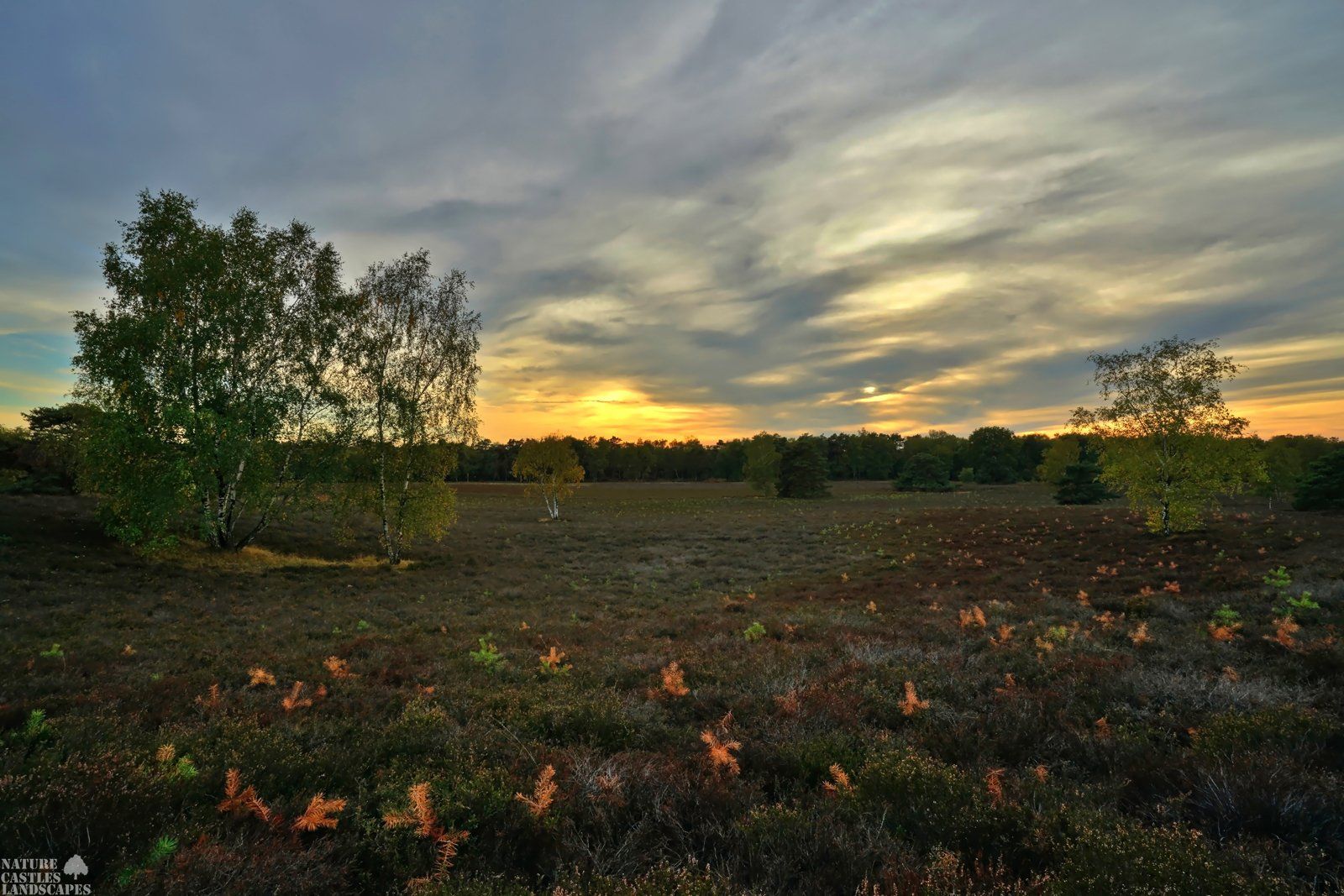 westruper heath evening sky
