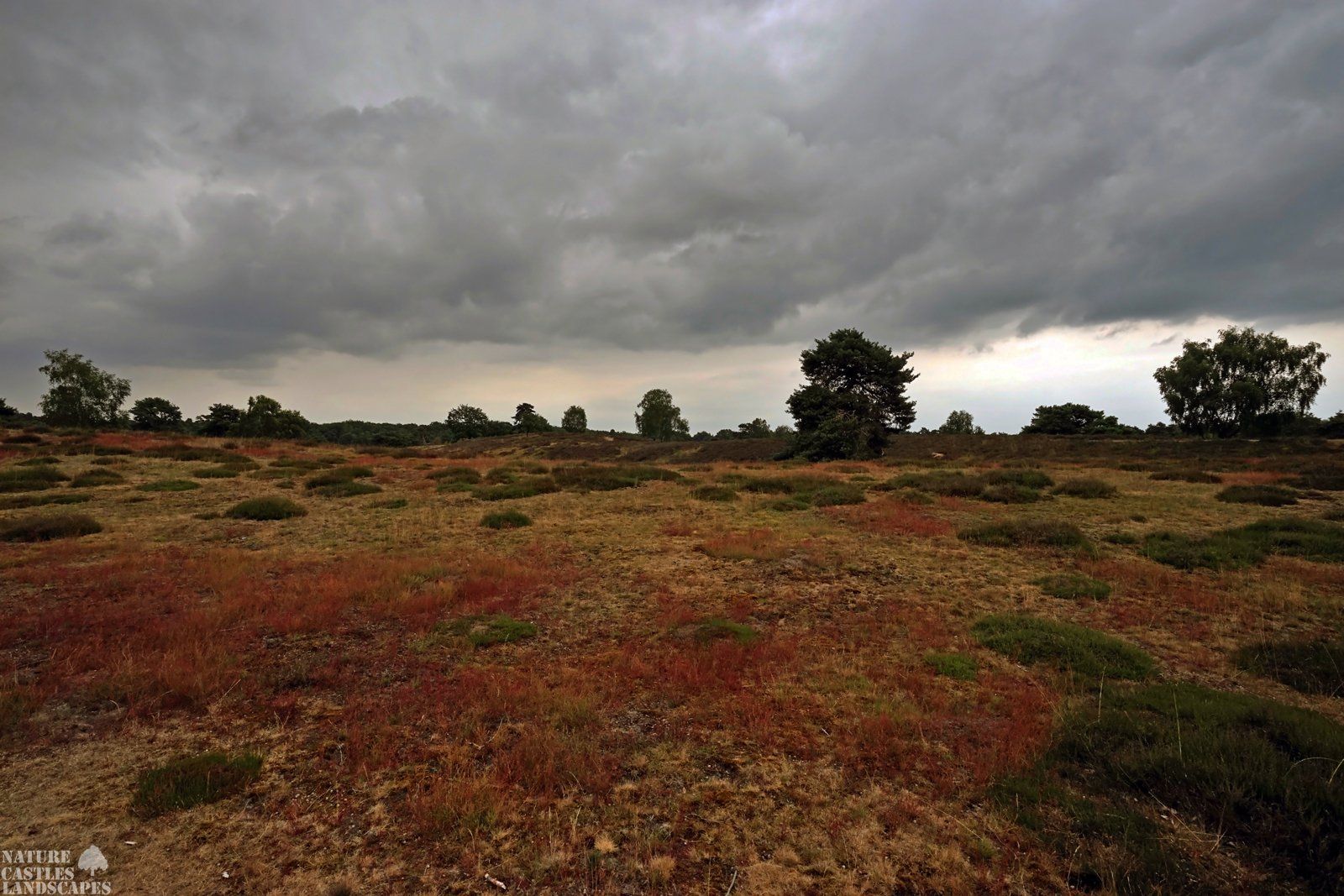 westruper heath rain clouds