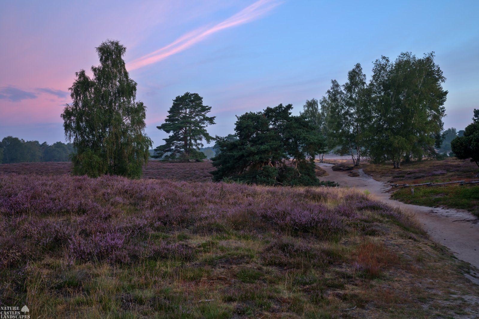westruper heath colourful morning