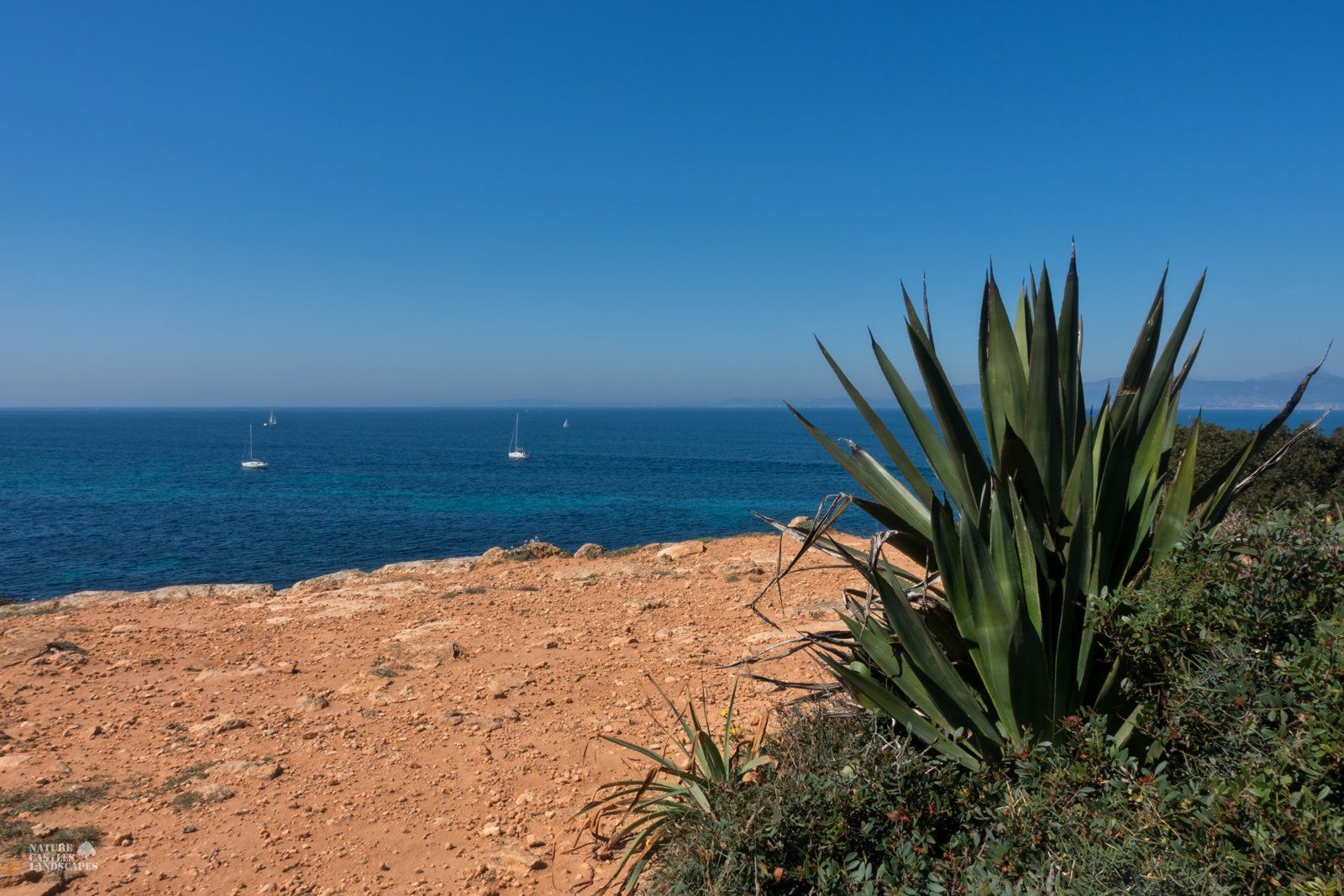 Mallorca the coastline of the island mallorca