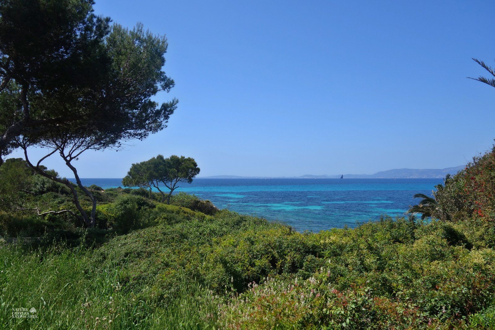 colorful wave at the beach at mallorca