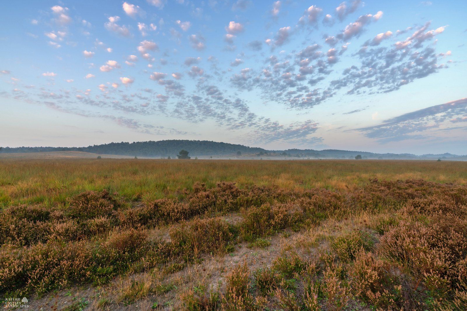 beautiful morning sky at the heath
